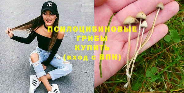 СК Киров