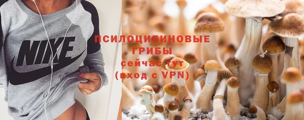 2c-b Кукмор