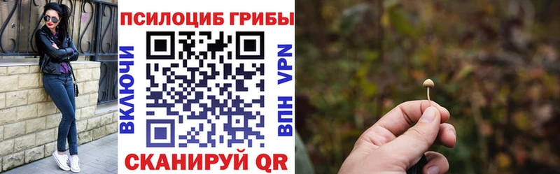Псилоцибиновые грибы Psilocybine cubensis Костомукша